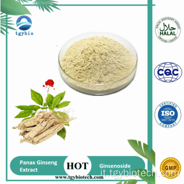 Estratto di radice di ginseng Panax/ estratto ginseng 80% ginsenosidi